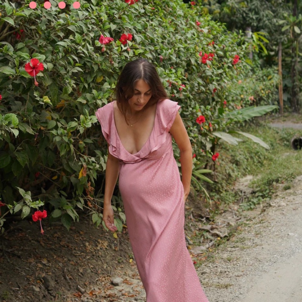 (NWT) HATCH Maternity Emily Dress - Blush Floral - Size 3